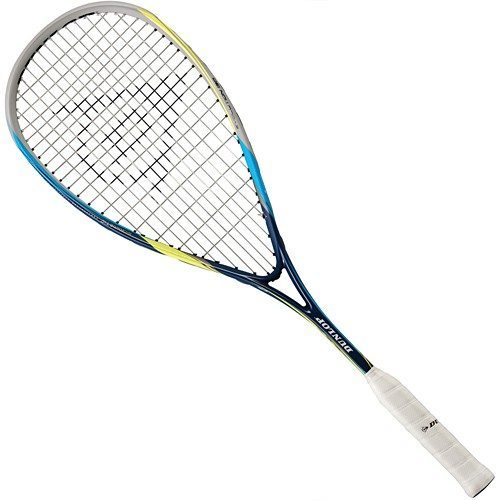vuurwerk aanraken leugenaar Dunlop Biomimetic Evolution 130 Squash Racket - Squash Source