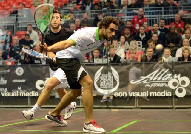 Ramy Ashour Shoes